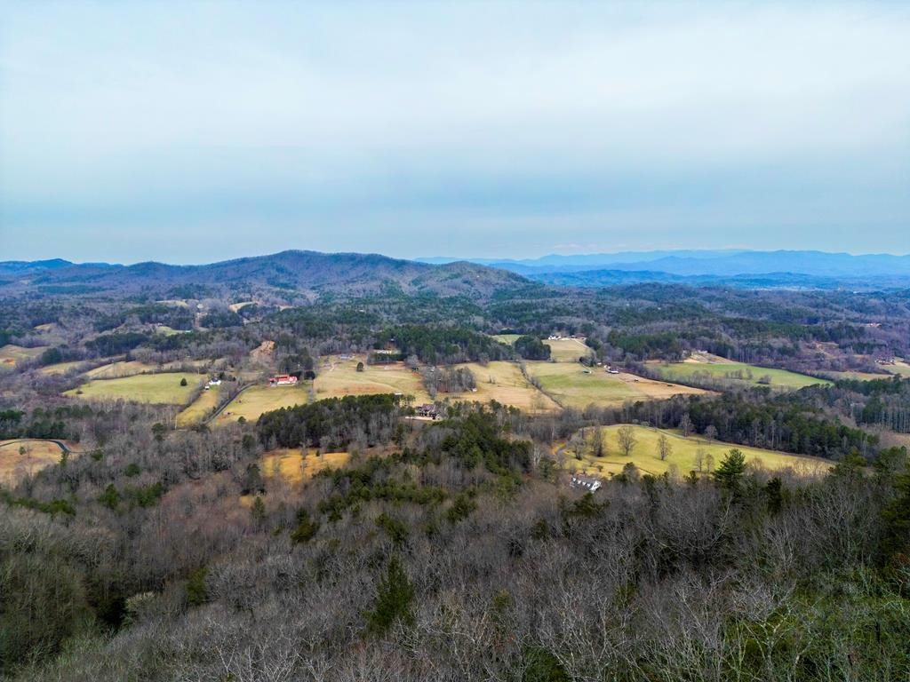 Lot 5 Mason Road Brasstown, NC 28902 - Photo 4 of 11 Gallery Image 4