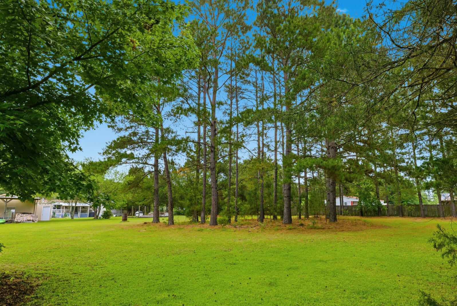 355 Trinity Church Road St. Stephen, SC 29479 - Photo 60 of 62 59