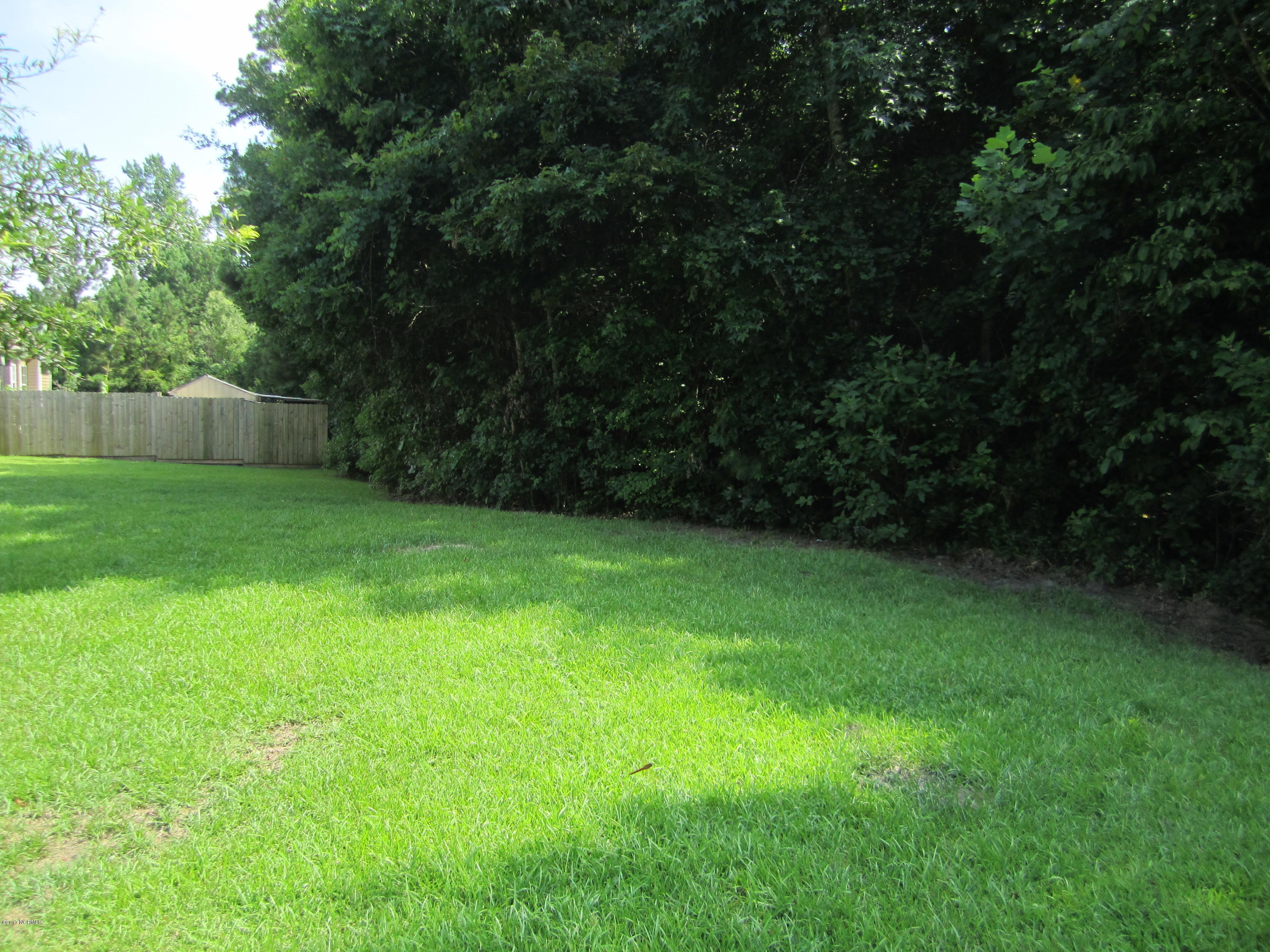 428 Conner Grant Road New Bern, NC 28562 - Photo 30 of 30 Back Yard