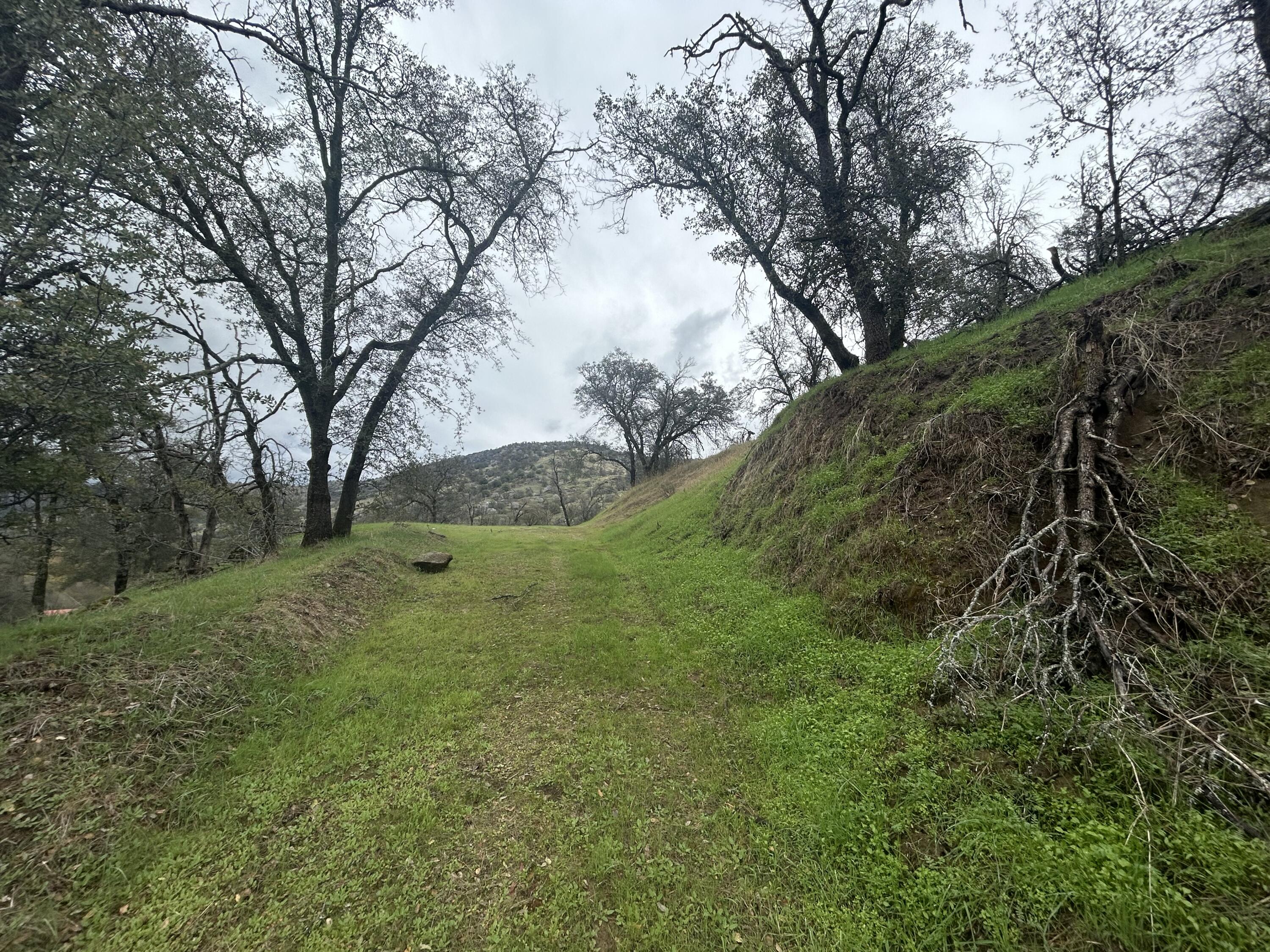 Three Rivers Ca Three Rivers, CA 93271 - Photo 13 of 19 a big yard with lots of green space