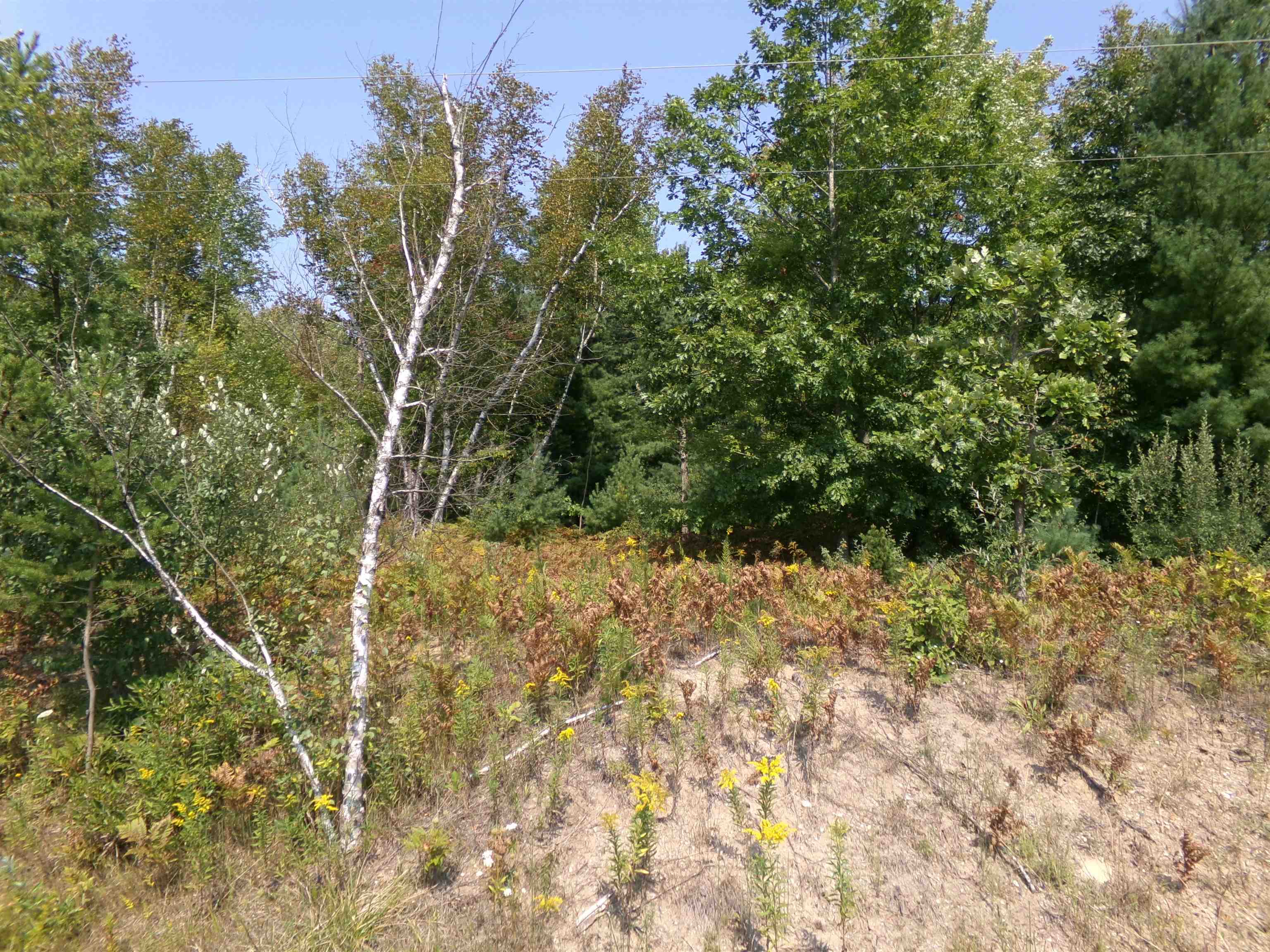 710-730 West Howard Road Beaverton, MI 48612 - Photo 6 of 82 1926814-04B503E0-3D02-4414-B8E2-E464244D9CB2.JPG