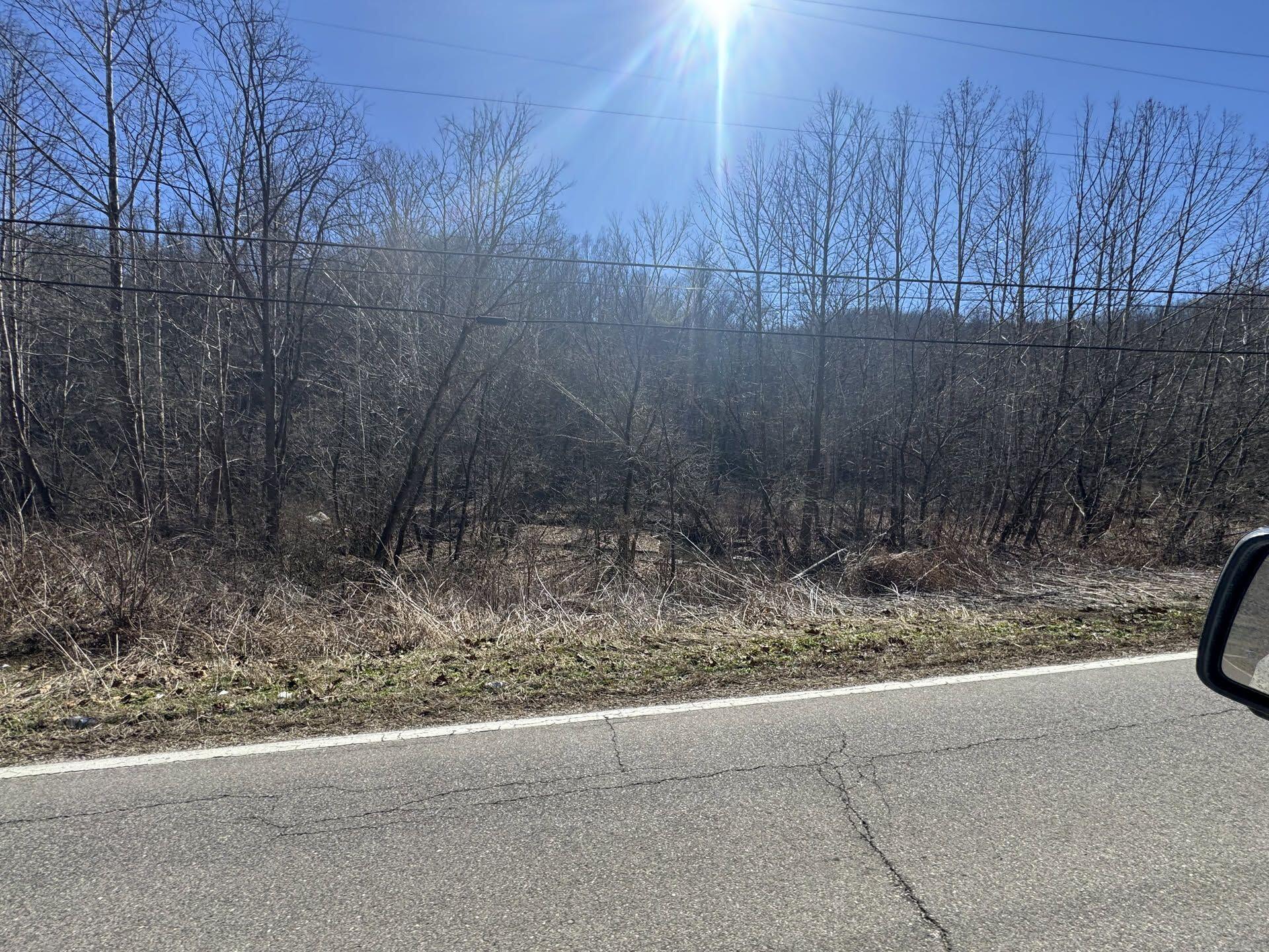 850 Big Seven Mile Road Huntington, WV 25701 - Photo 8 of 15 image 801052