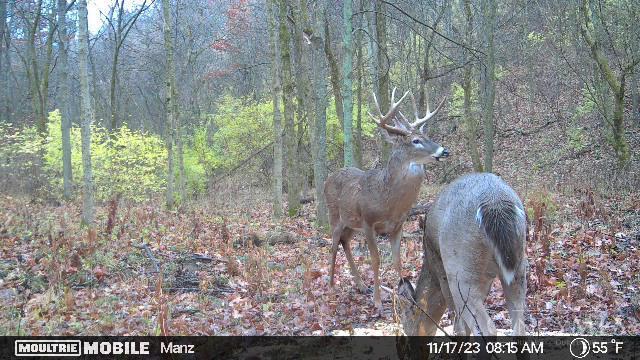 0 Brooks Road Harrison, OH 45030 - Photo 10 of 10