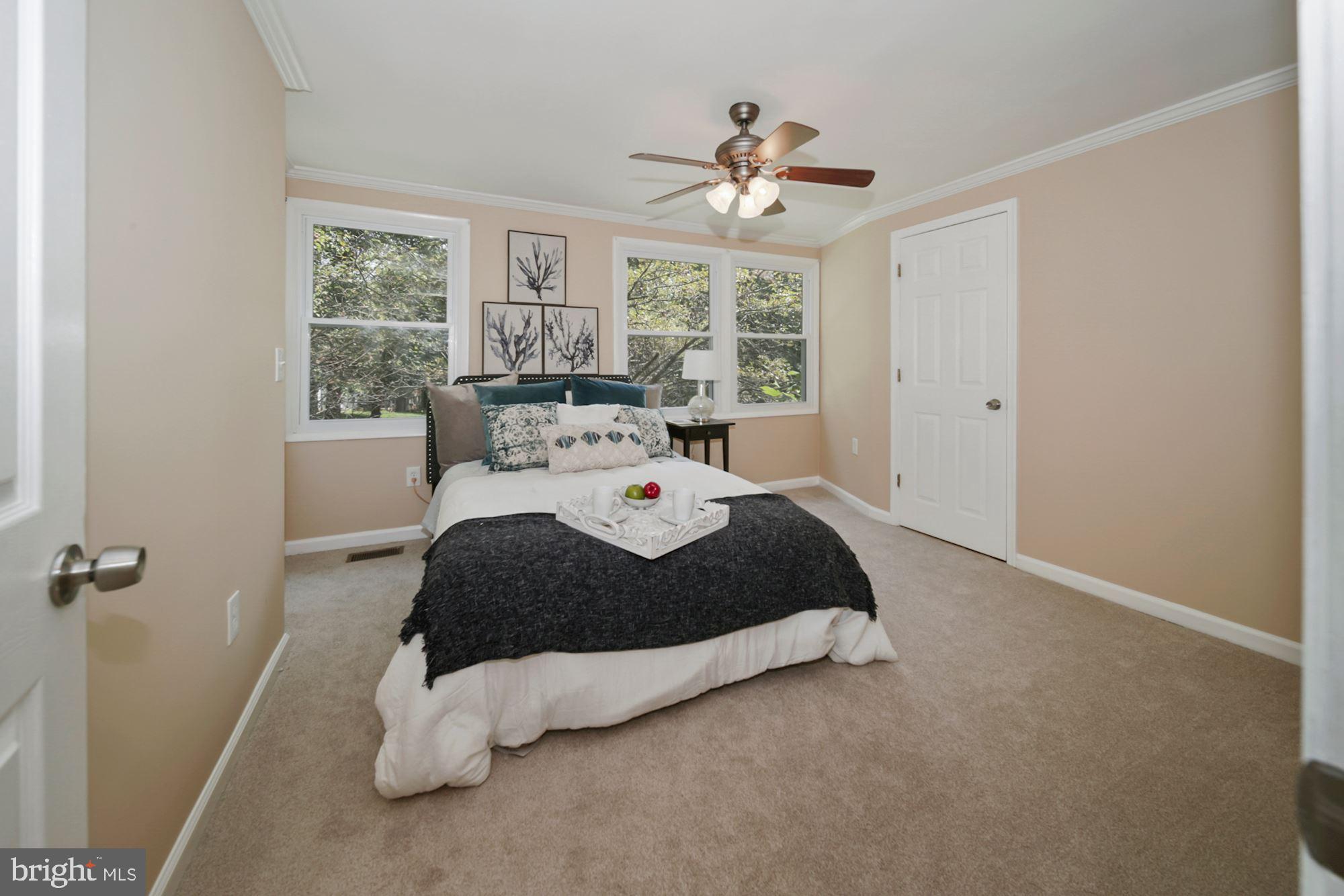 19962 Apple Ridge Place Gaithersburg, MD 20886 - Photo 12 of 31 Master bedroom
