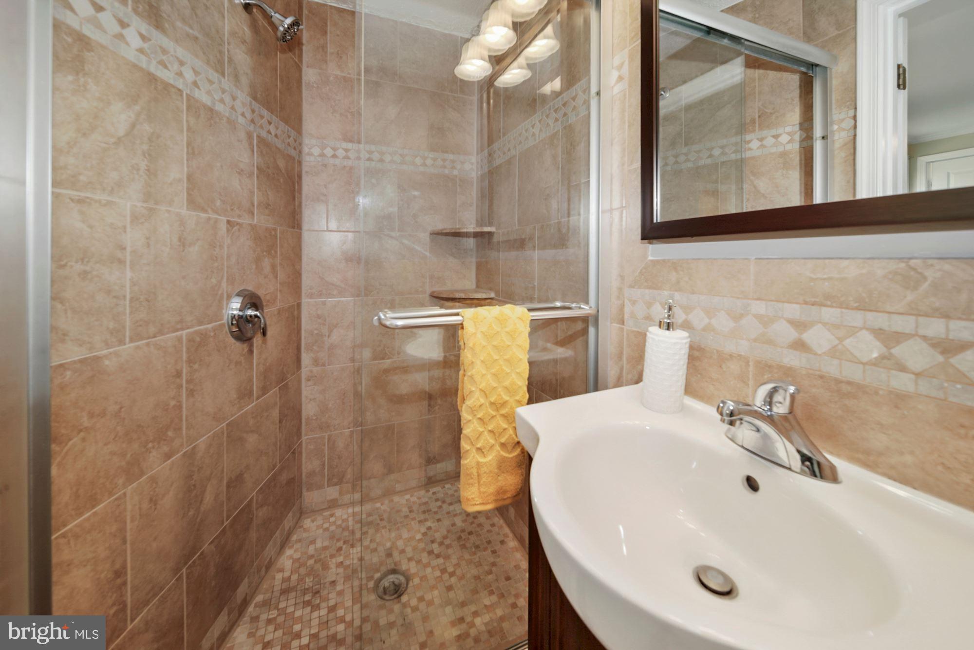 19962 Apple Ridge Place Gaithersburg, MD 20886 - Photo 15 of 31 Master Bathroom