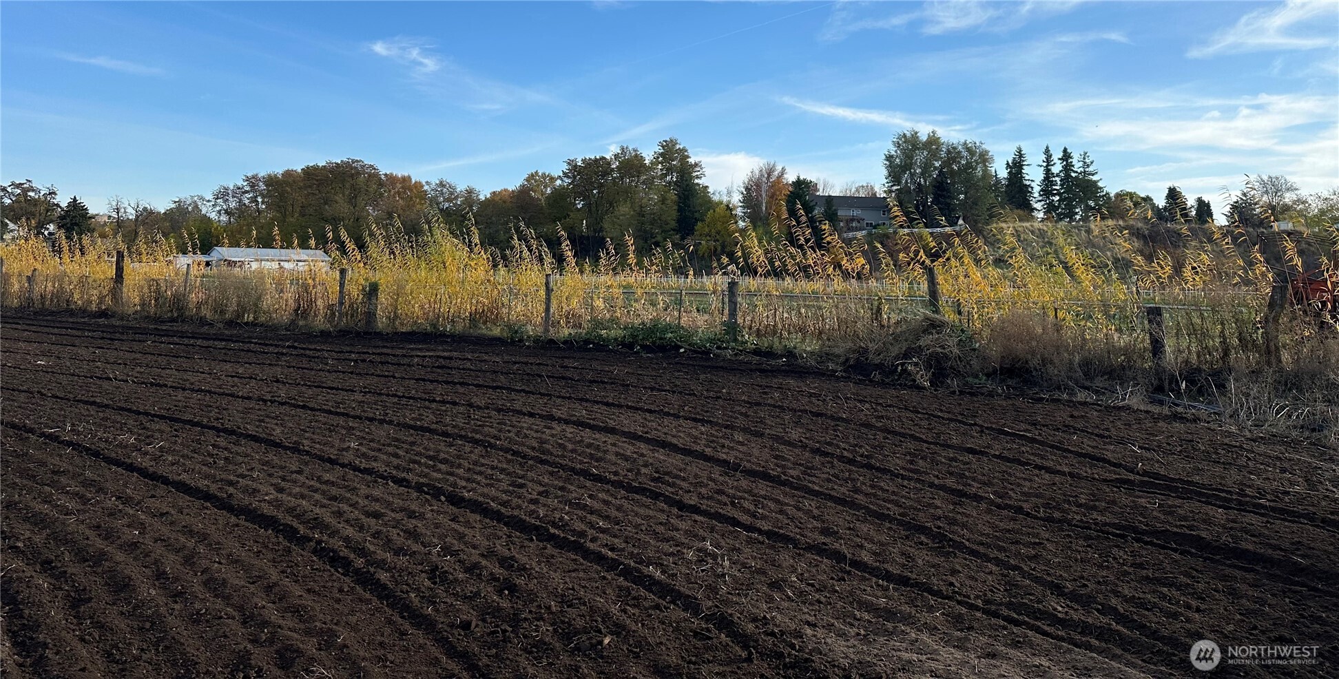 571 Southwest 12th Street College Place, WA 99324 - Photo 1 of 17 a view of a back yard of the house