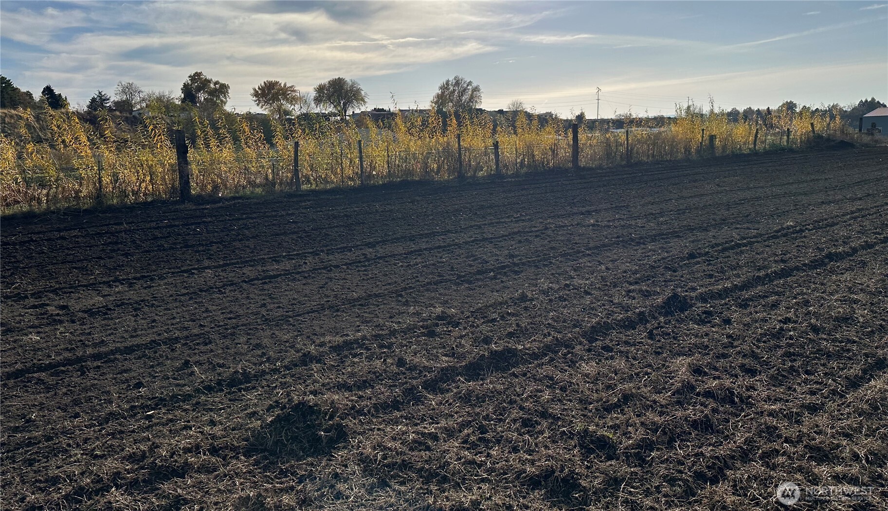 571 Southwest 12th Street College Place, WA 99324 - Photo 12 of 17 a view of a yard