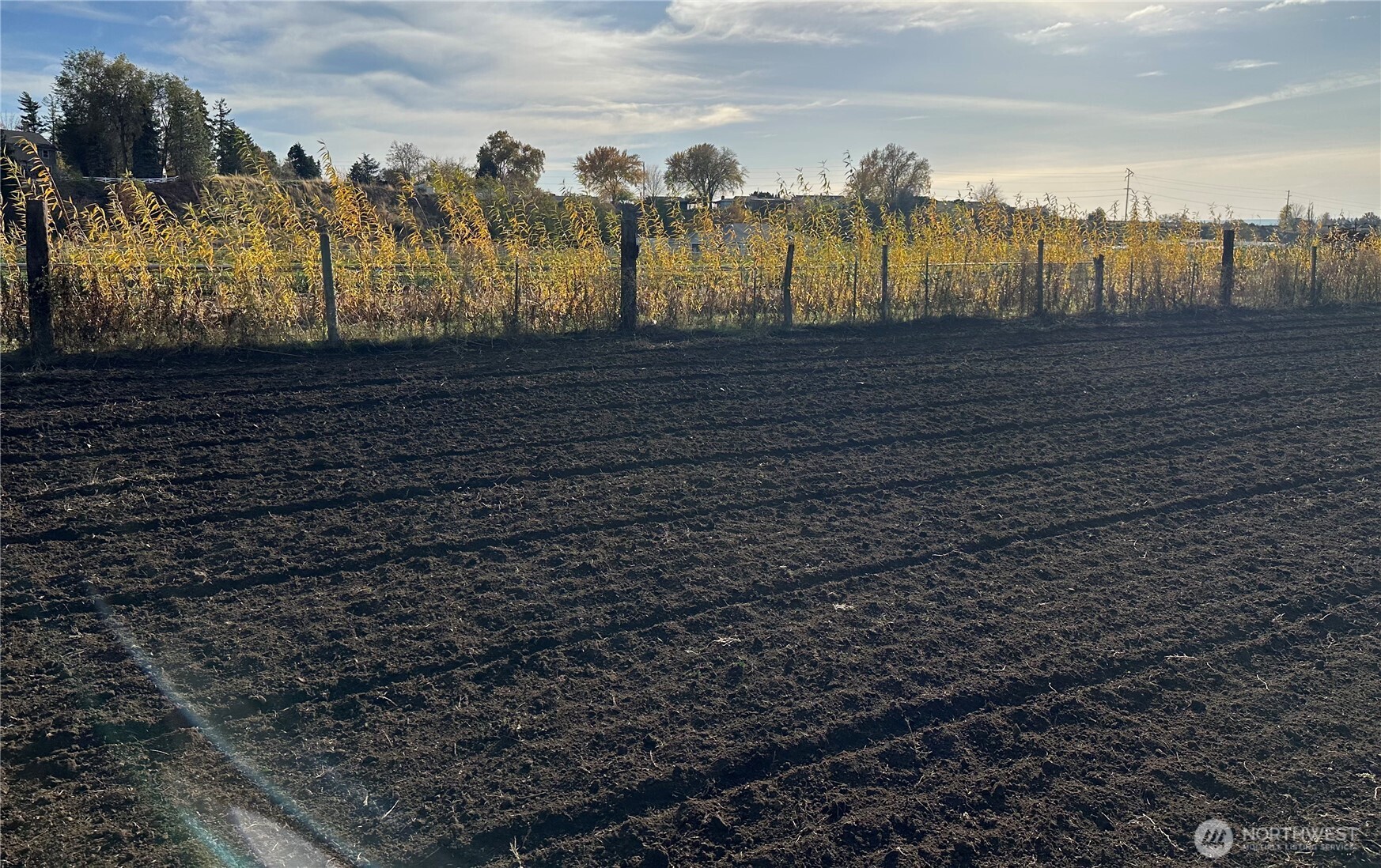 571 Southwest 12th Street College Place, WA 99324 - Photo 2 of 17 a view of a yard