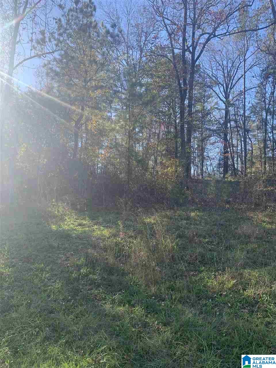 31 Lakefront Trail, Unit 13 Clanton, AL 35046 - Photo 1 of 4