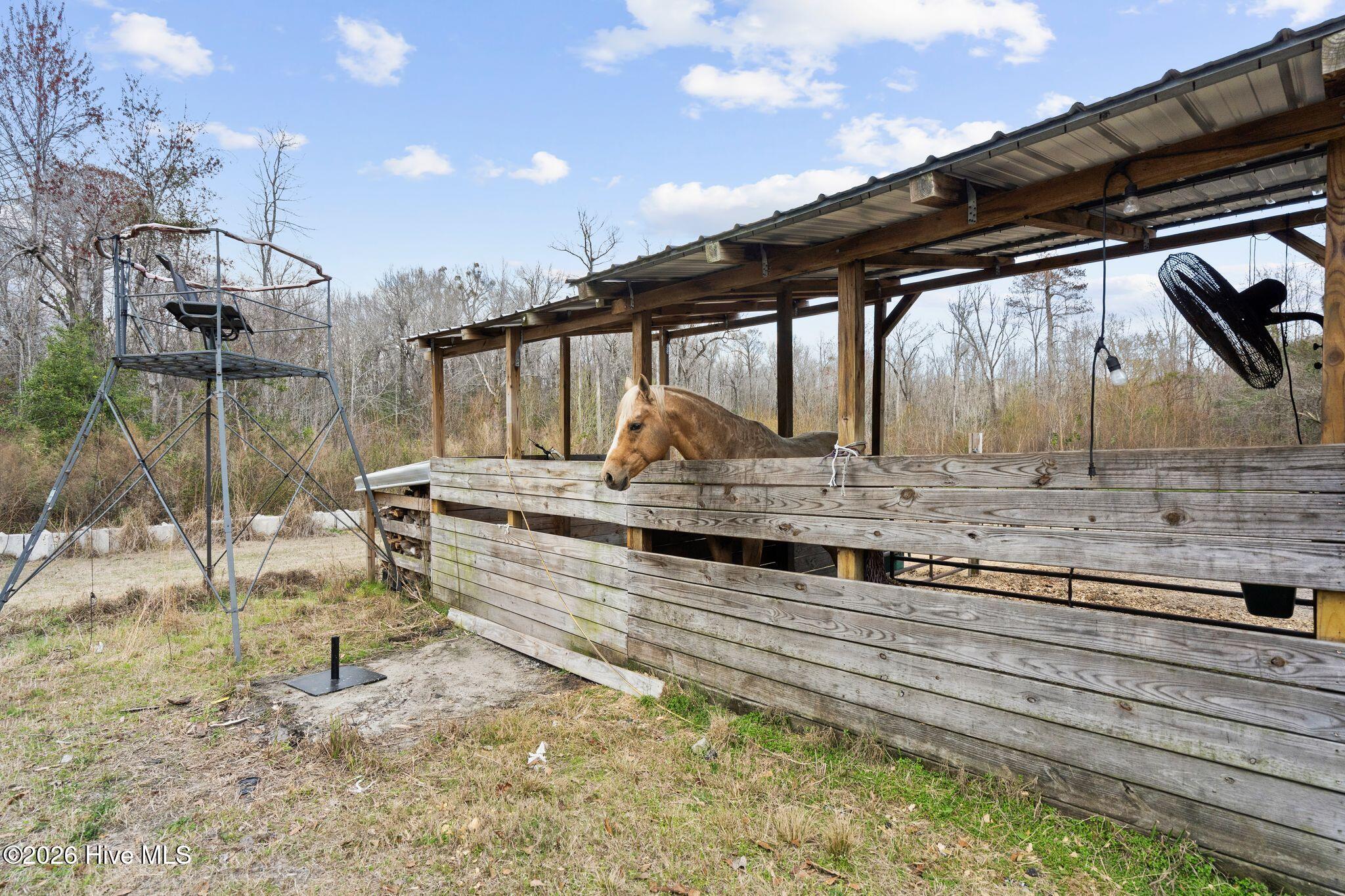 460 Oakey Point Road Hampstead, NC 28443 - Photo 107 of 121 106_DSC08374
