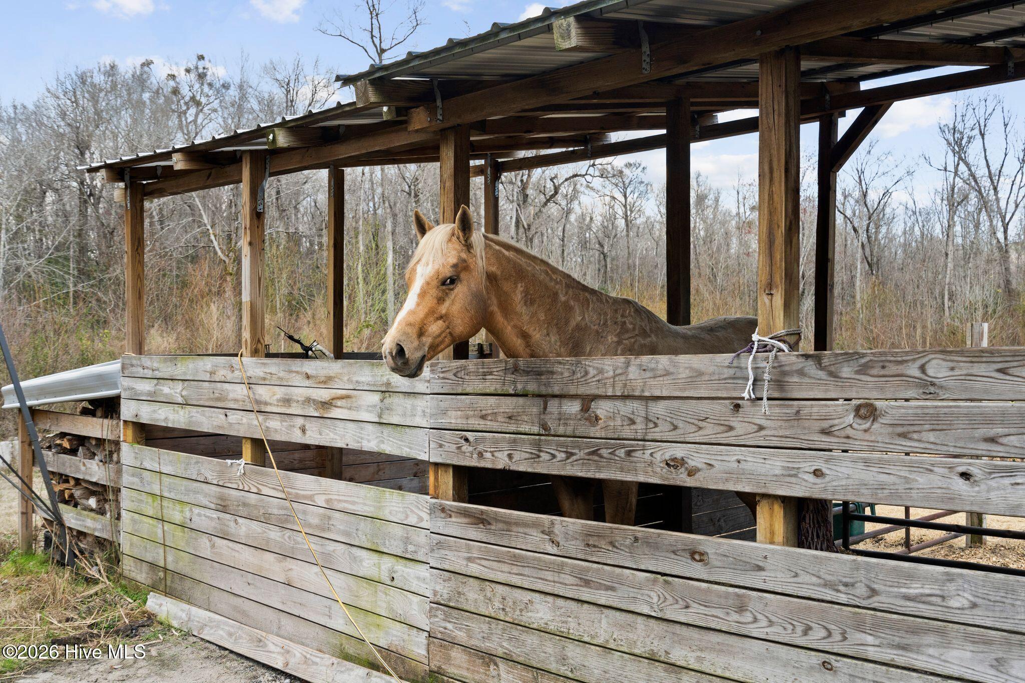 460 Oakey Point Road Hampstead, NC 28443 - Photo 108 of 121 107_DSC08379