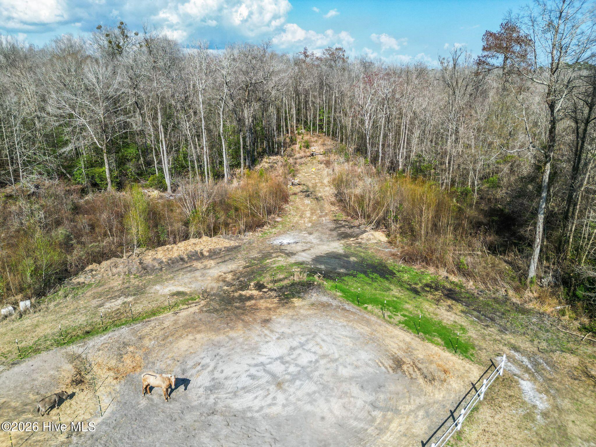 460 Oakey Point Road Hampstead, NC 28443 - Photo 114 of 121 112_DJI_0549_1