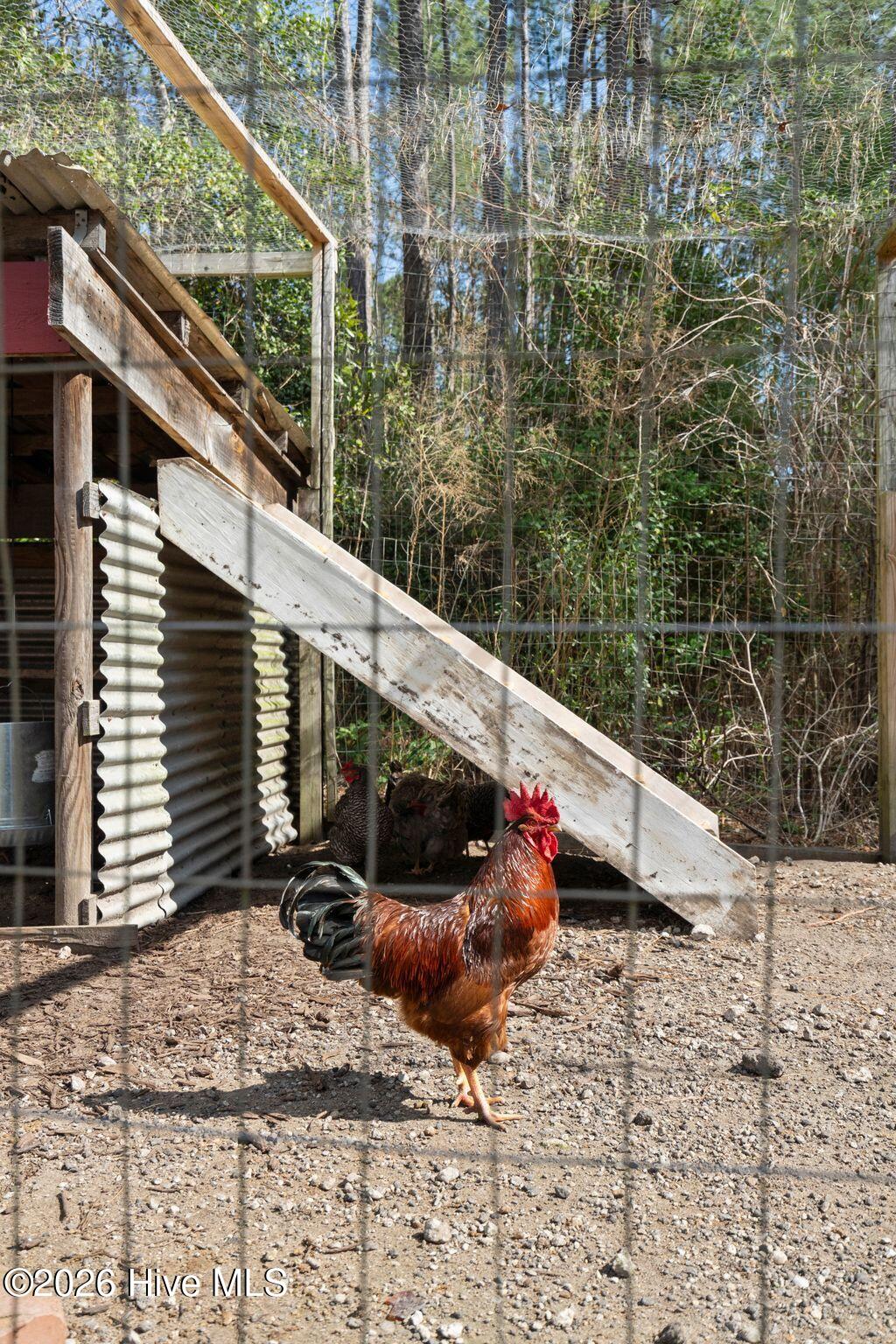 460 Oakey Point Road Hampstead, NC 28443 - Photo 100 of 121 101_DSC08944