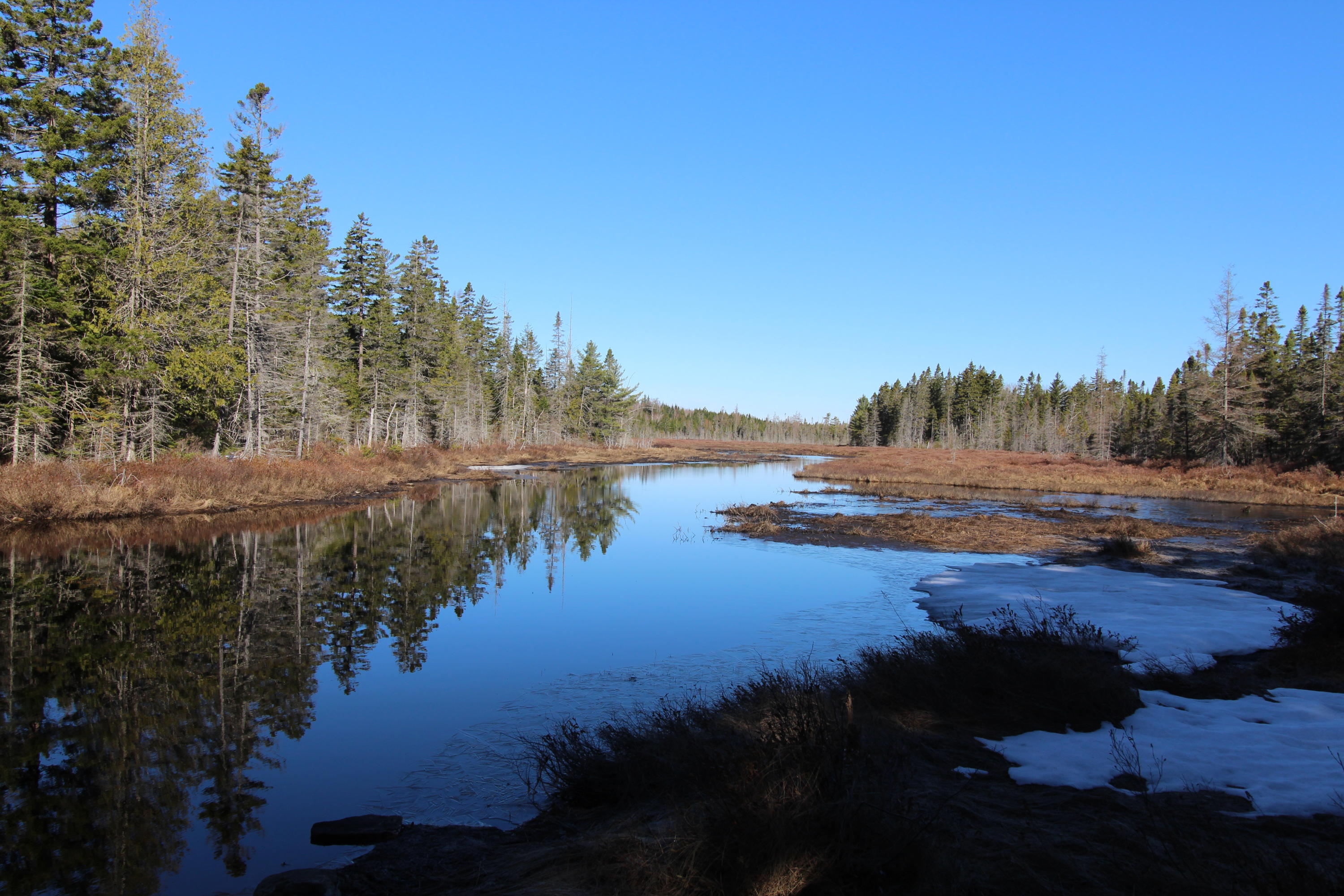 118 Berkshire Road Rangeley, ME 04970 - Photo 2 of 35 IMG_1294