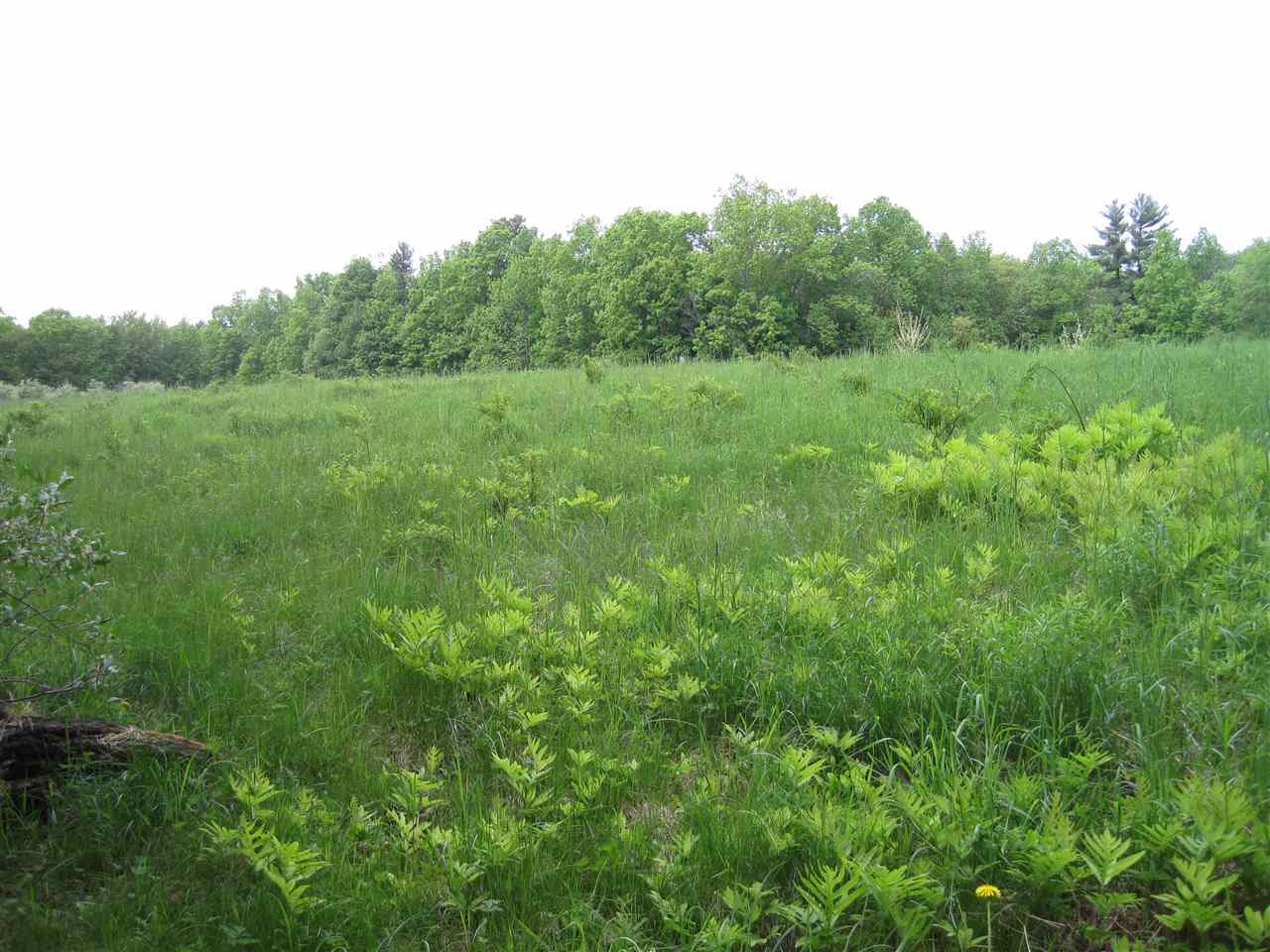 102 Province Road Strafford, NH 03825 - Photo 3 of 10 Gallery Image 3