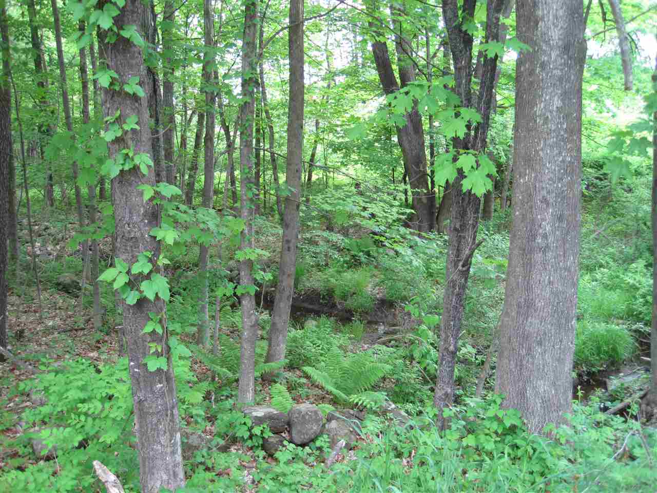 102 Province Road Strafford, NH 03825 - Photo 8 of 10 Gallery Image 8