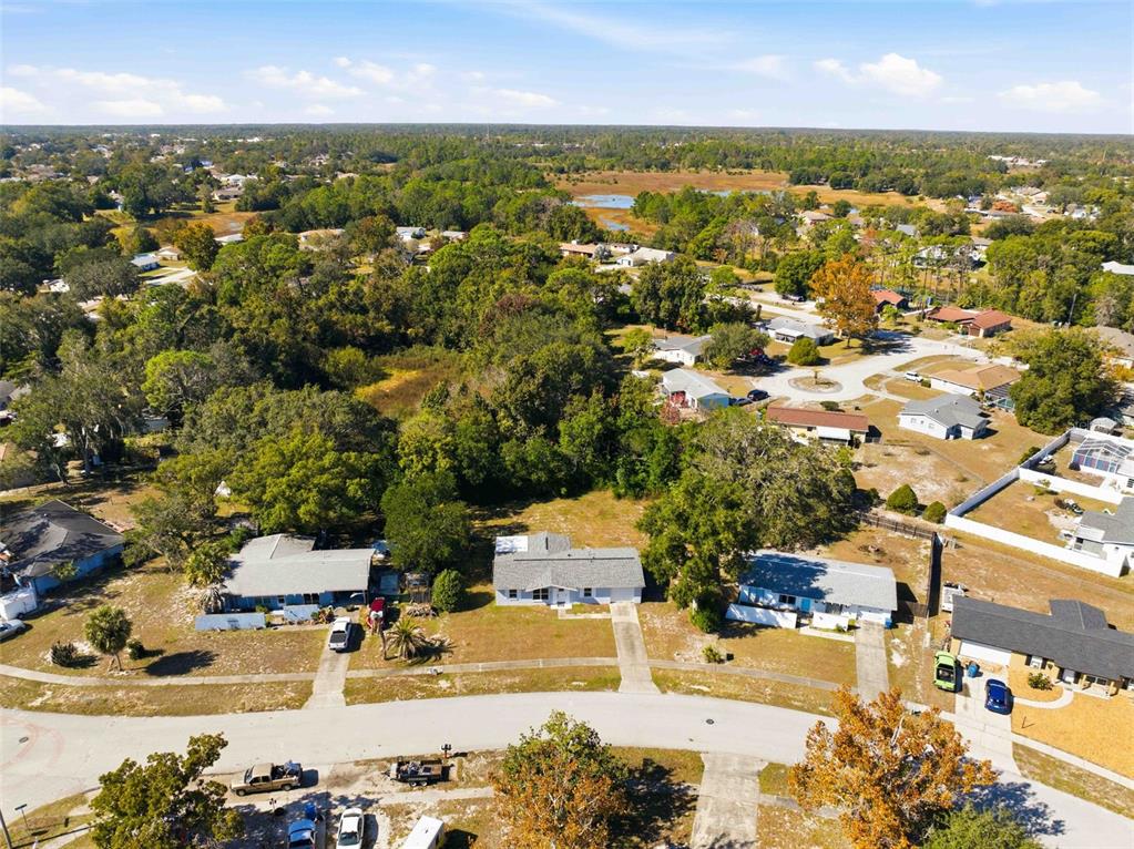 4533 Lakeshore Avenue Spring Hill, FL 34606 - Photo 35 of 60