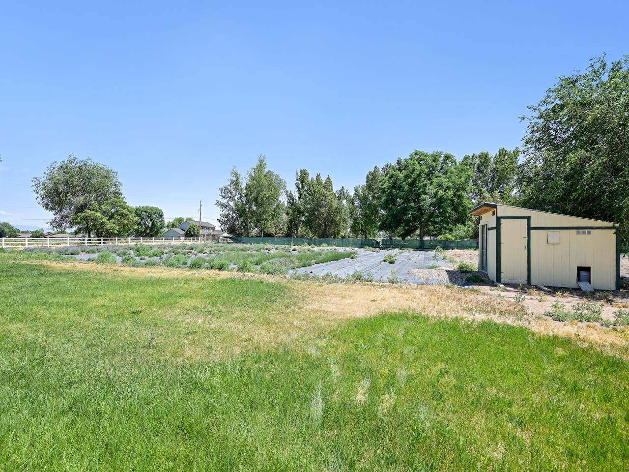 1721 K K 3/4 Road Fruita, CO 81521 - Photo 31 of 42 Gallery Image 31