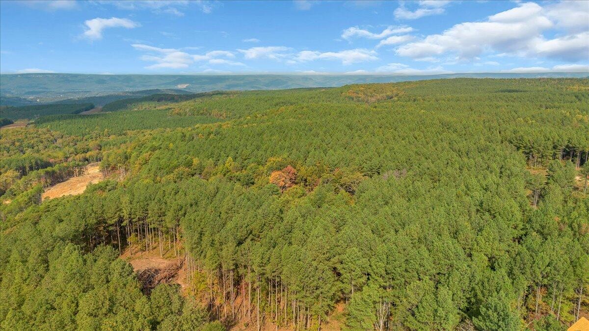 400 Treetop Street Guild, TN 37340 - Photo 12 of 16 a view of an ocean