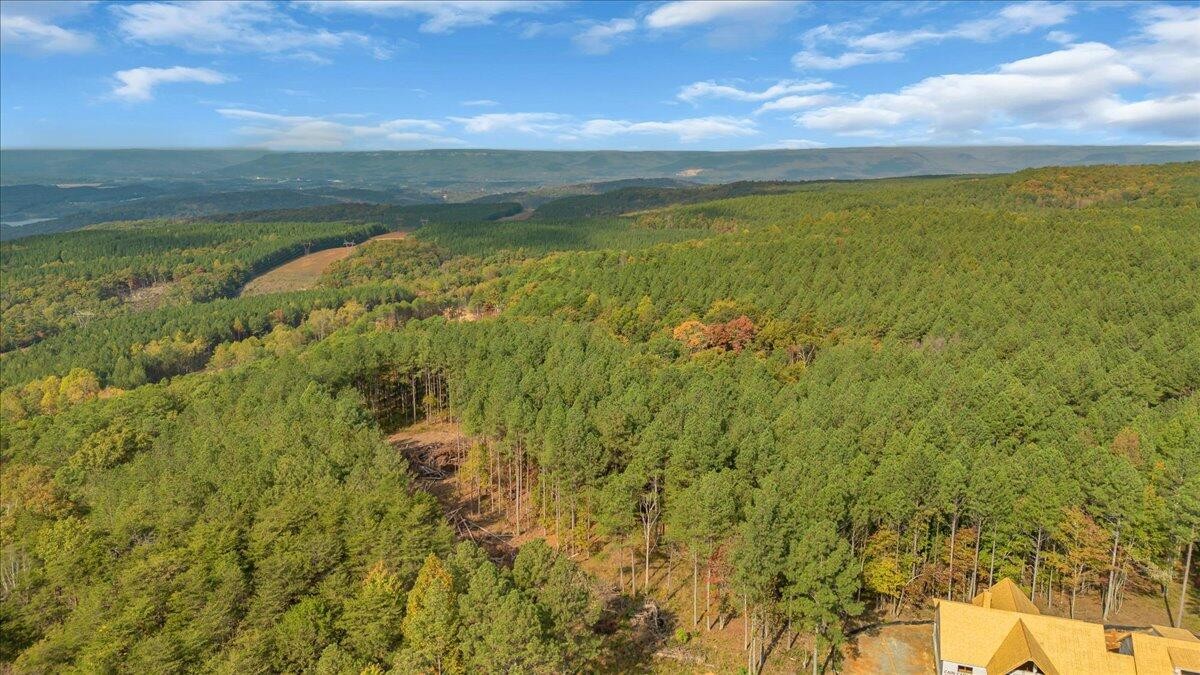 400 Treetop Street Guild, TN 37340 - Photo 13 of 16 a view of an ocean