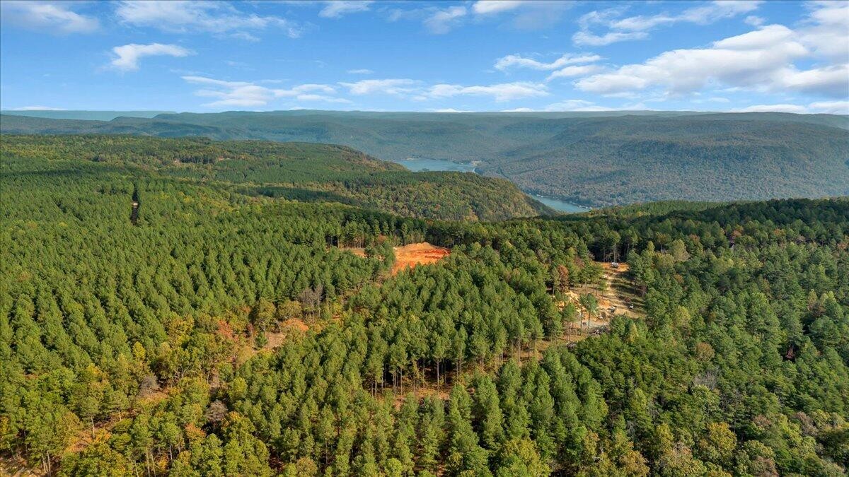 400 Treetop Street Guild, TN 37340 - Photo 7 of 16 a view of a lake with a yard