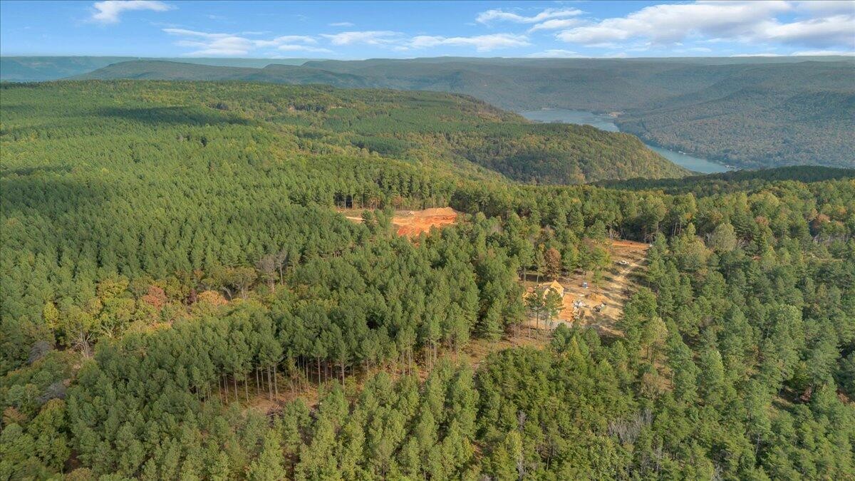 400 Treetop Street Guild, TN 37340 - Photo 8 of 16 a view of lake and mountain