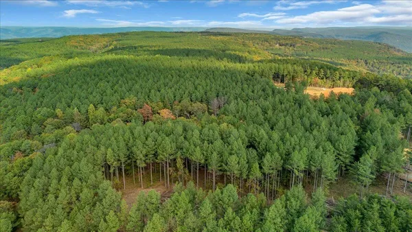 a view of lake with green space