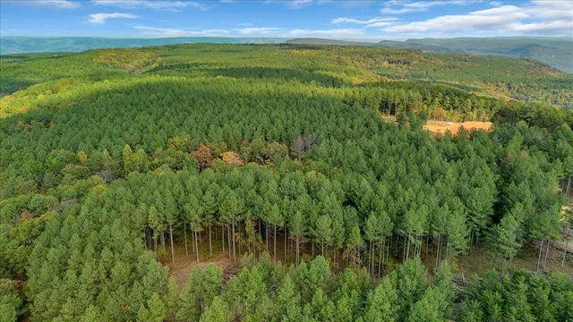 a view of lake with green space