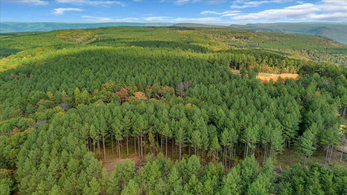 400 Treetop Street Guild, TN 37340 - Photo 9 of 16 a view of lake with green space