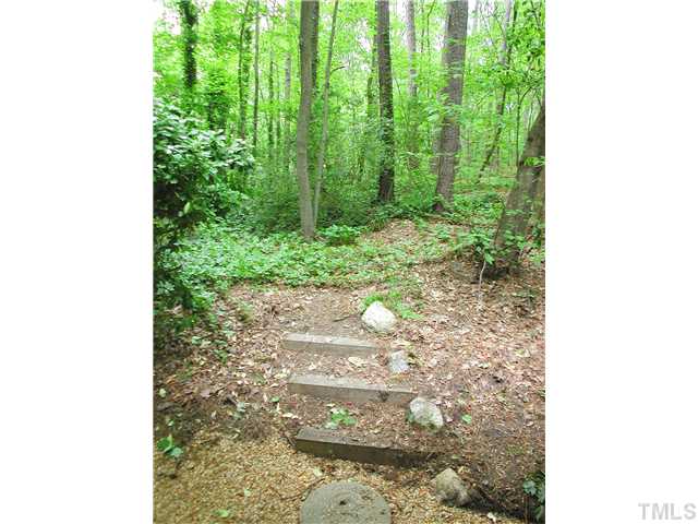 1309 Onslow Road Raleigh, NC 27606 - Photo 9 of 11 Steps lead from the open back porch up into your own private forest