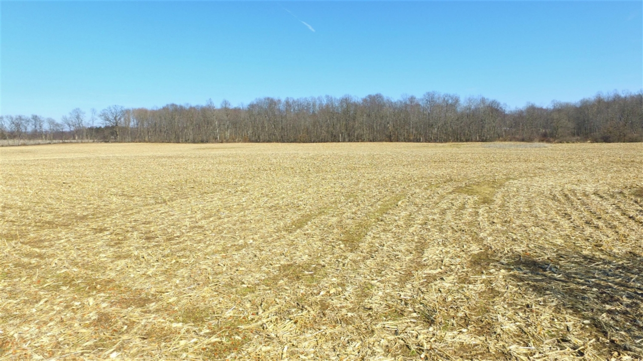 2 O Keefe Road Cassopolis, MI 49031 - Photo 2 of 7