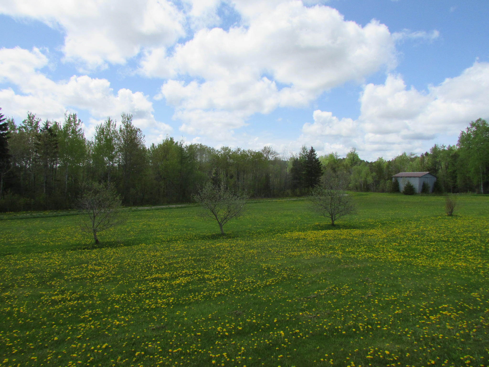 708 Ludlow Road Houlton, ME 04730 - Photo 18 of 21 IMG_0382