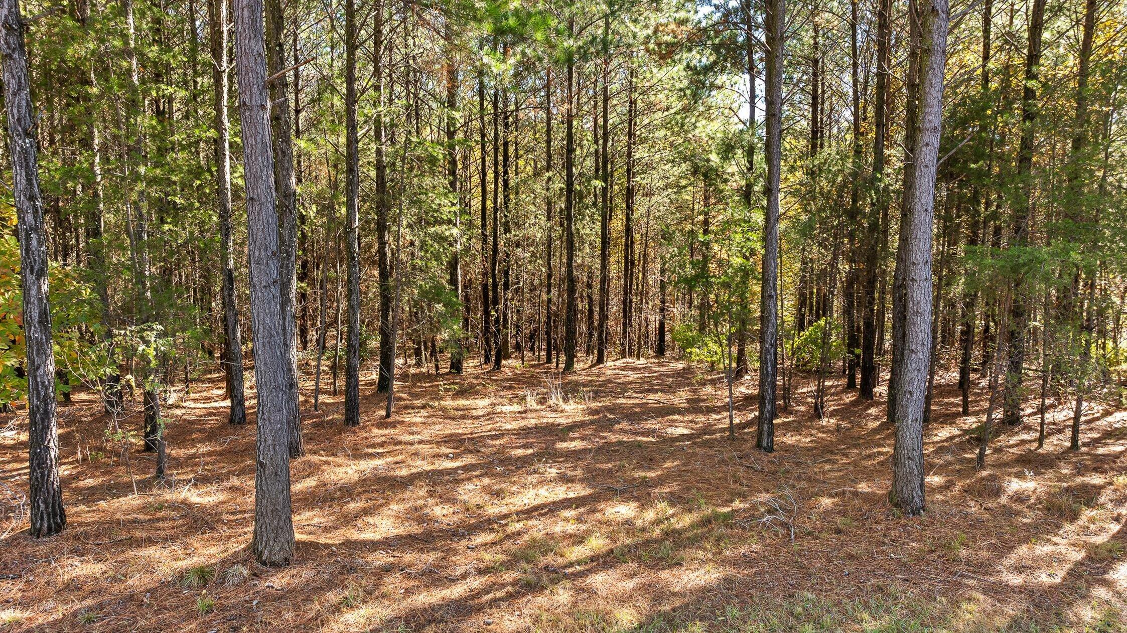 0 Crockett Pointe Jf157 Road Jasper, TN 37347 - Photo 23 of 32 26-Crockett Pointe-25
