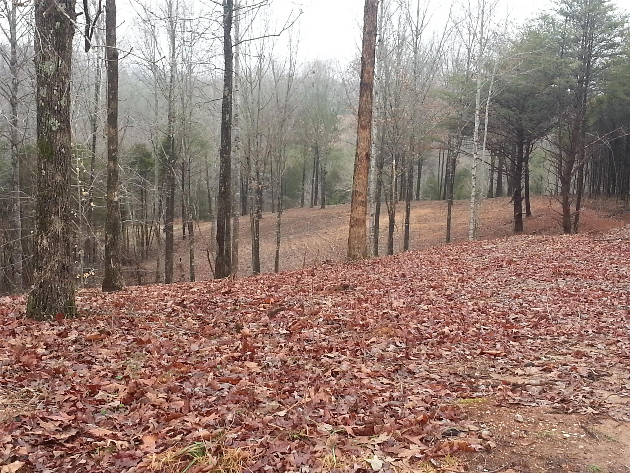 3687 River Road Baxter, TN 38544 - Photo 1 of 6 Another view of lot with wildlife, creek, and walk to the river