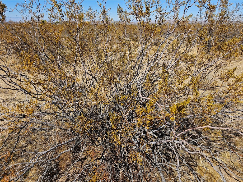 0 Avenue R Palmdale Ca Palmdale, CA 93591 - Photo 2 of 5