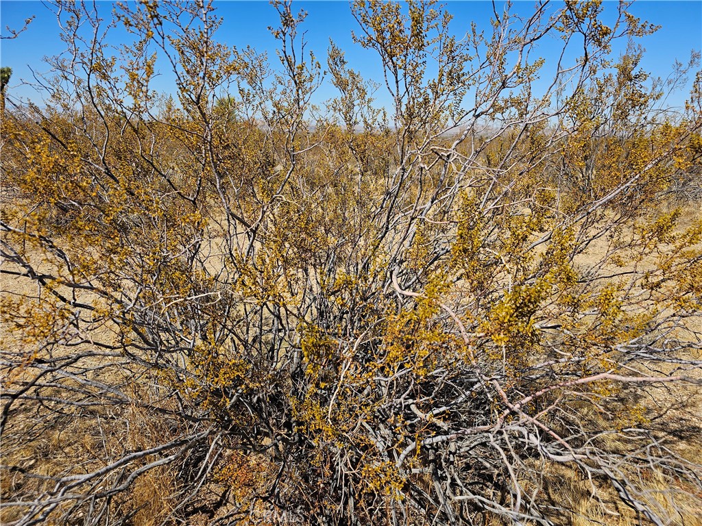 0 Avenue R Palmdale Ca Palmdale, CA 93591 - Photo 3 of 5 a view of a yard