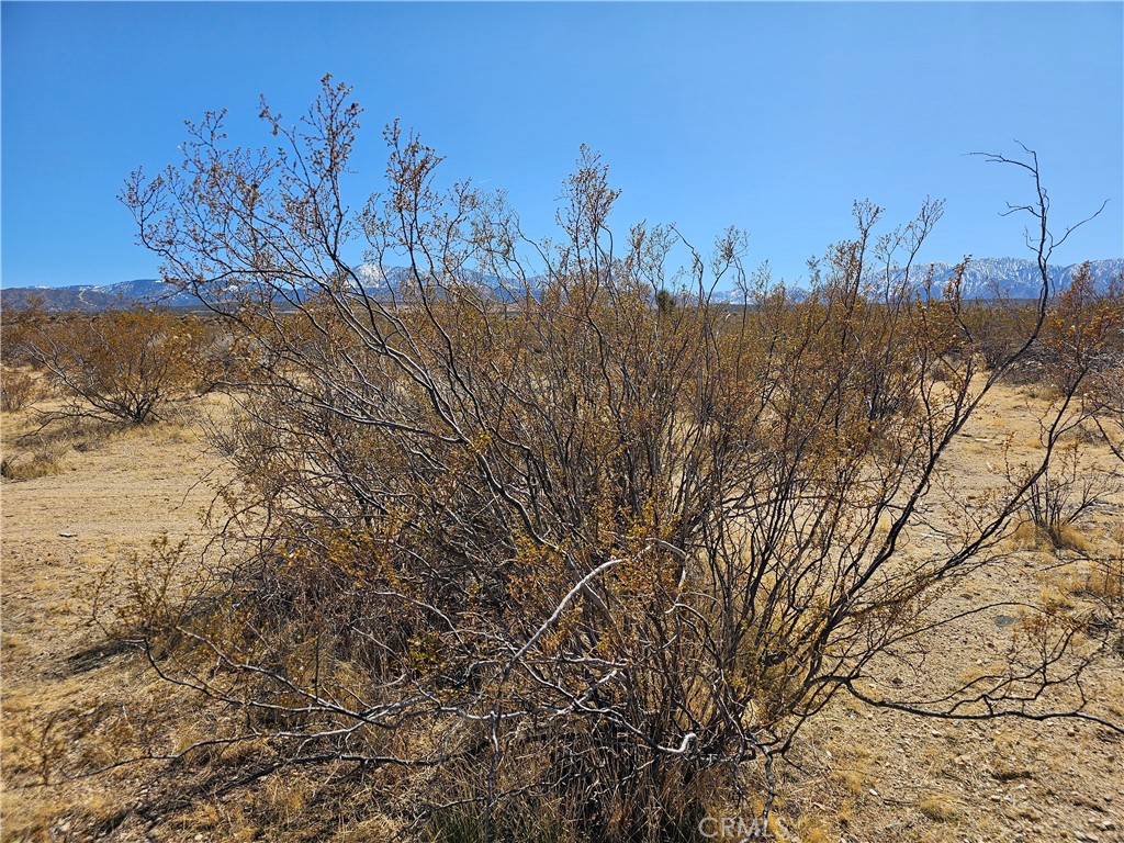 0 Avenue R Palmdale Ca Palmdale, CA 93591 - Photo 4 of 5 a view of a covered with snow in front of house