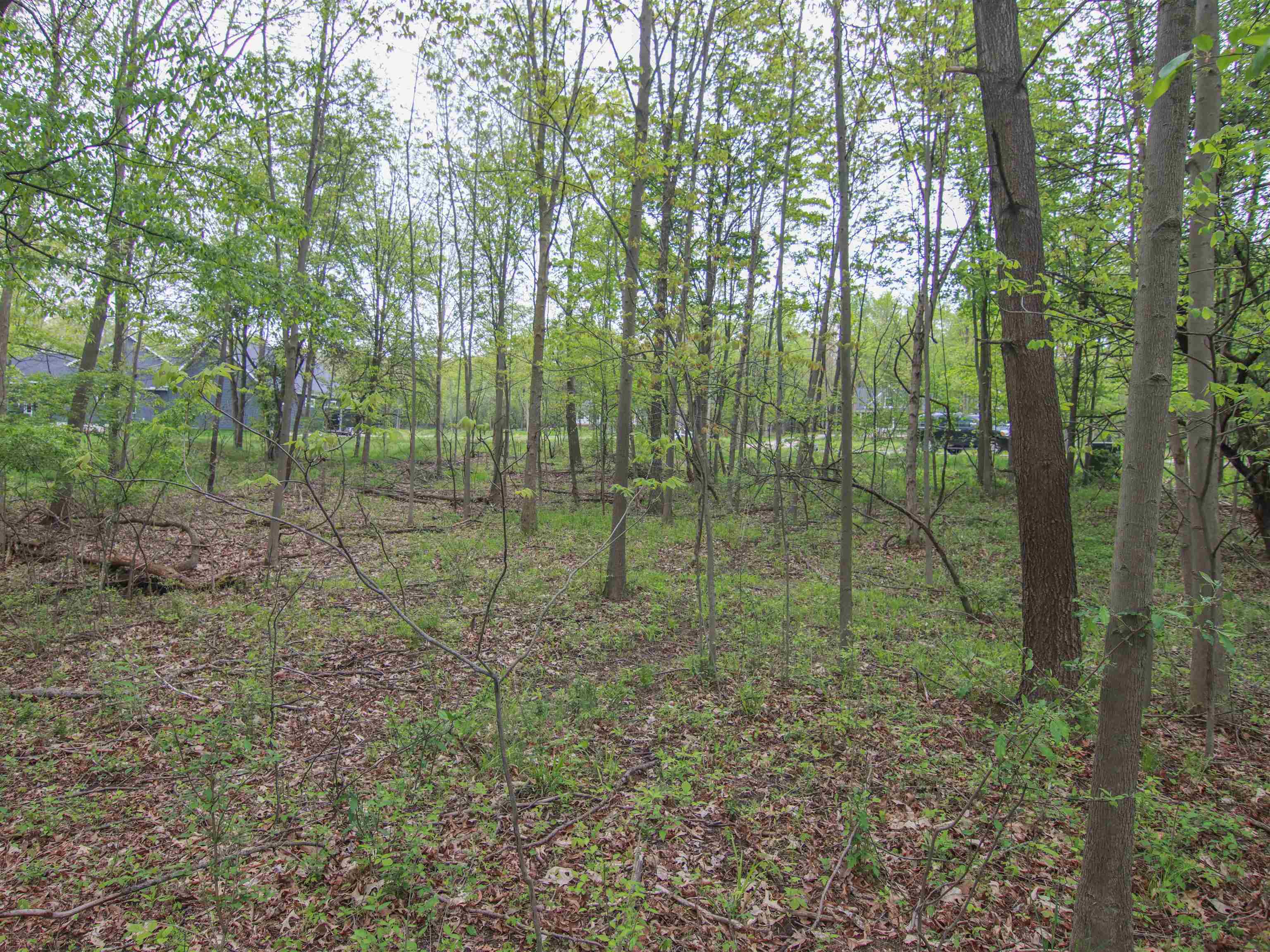 -unit 3 Ledgewood Ravine Trail Fenton, MI 48430 - Photo 1 of 10