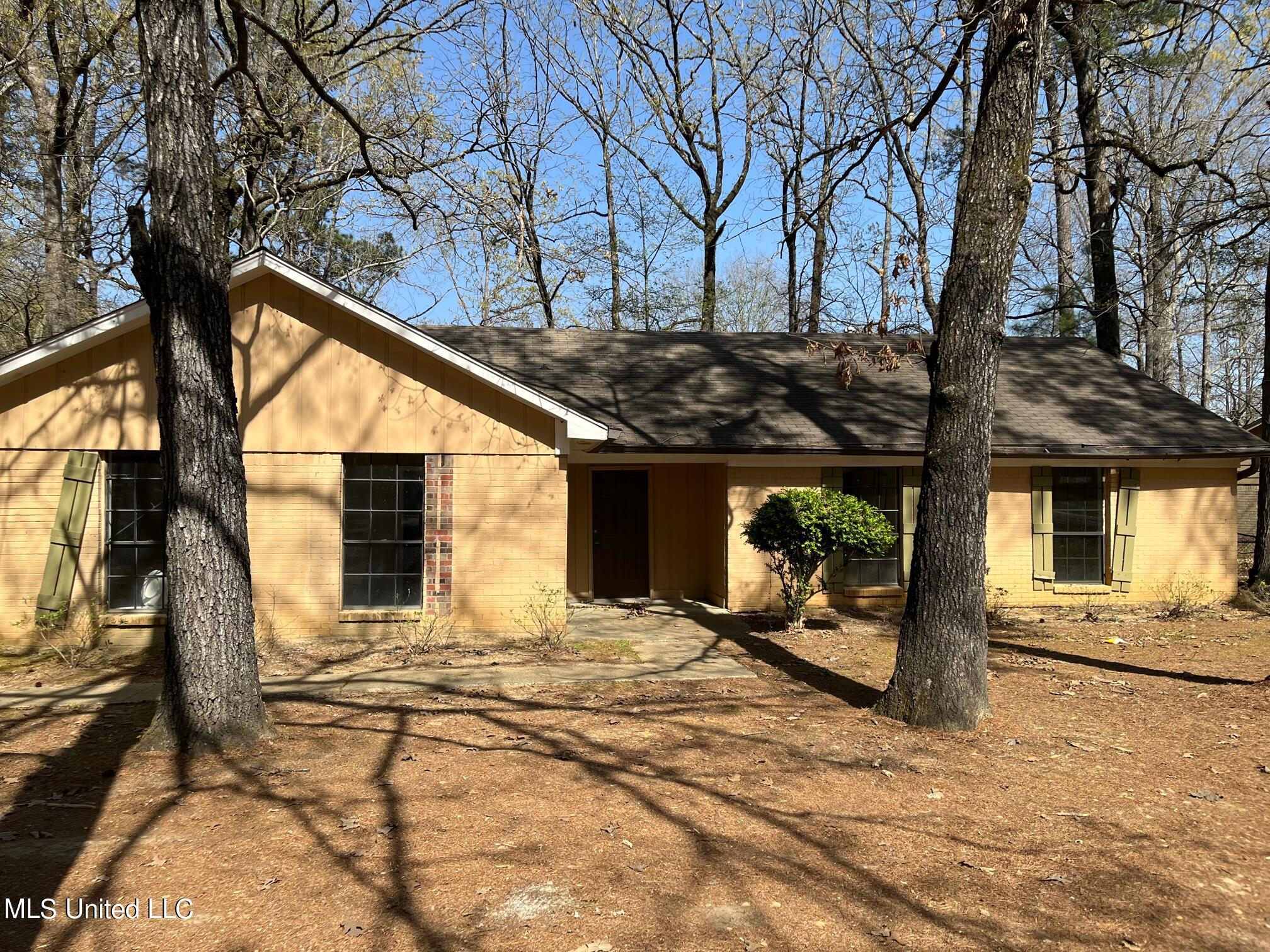 411 Shenandoah Road North Brandon, MS 39047 - Photo 1 of 6 Front View