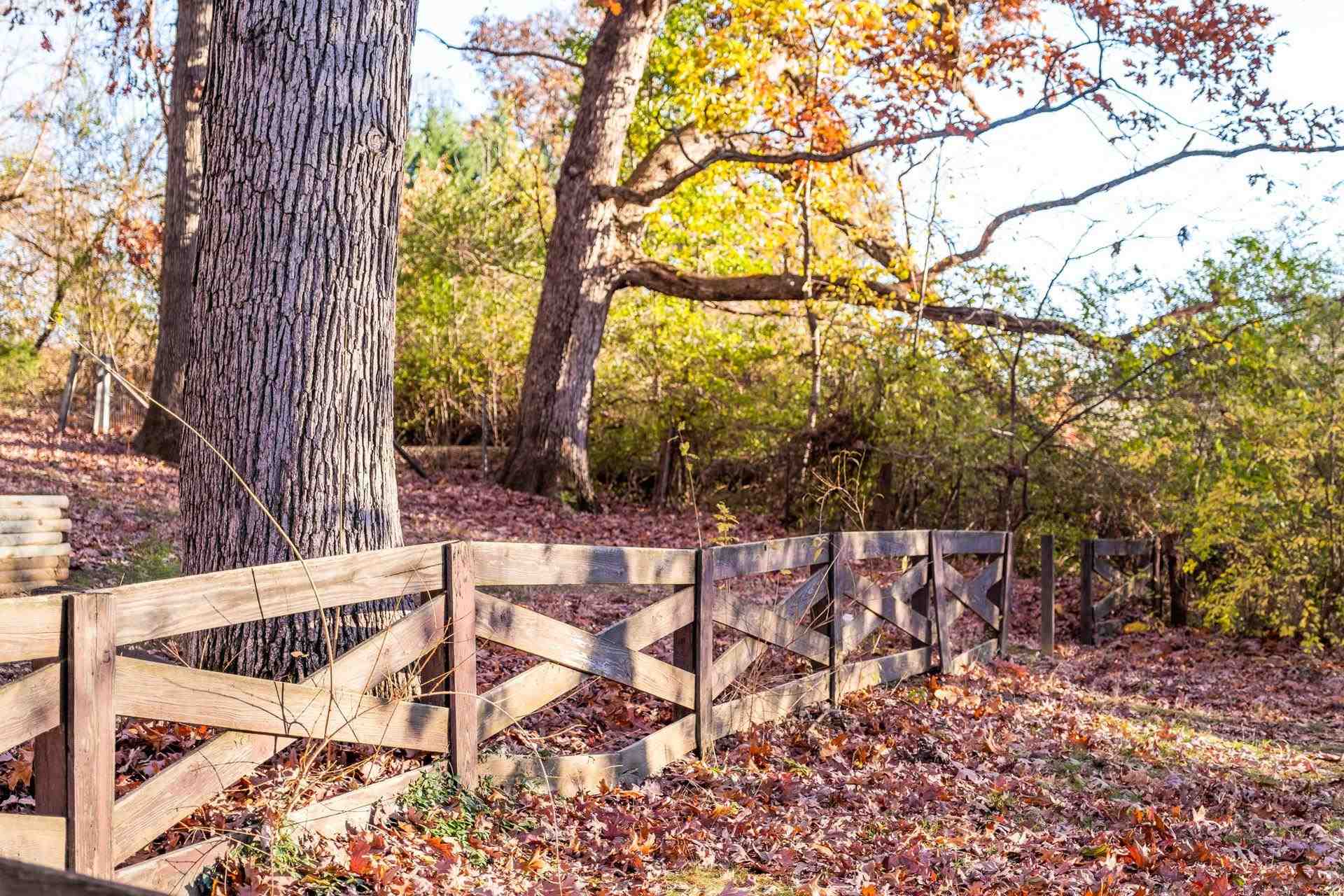 25 Morris Mill Road Staunton, VA 24401 - Photo 12 of 41 Gallery Image 12