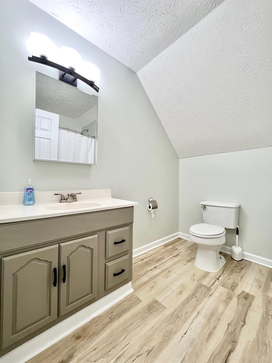 2245 Huckleberry Ridge Road Hiddenite, NC 28636 - Photo 13 of 13 a bathroom with a sink toilet and mirror