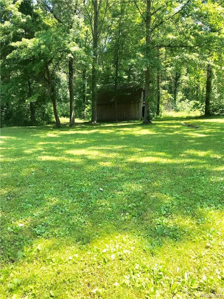 18893 Haggerty Road Belleville, MI 48111 - Photo 41 of 44 Haggerty Back ext lot.jpg