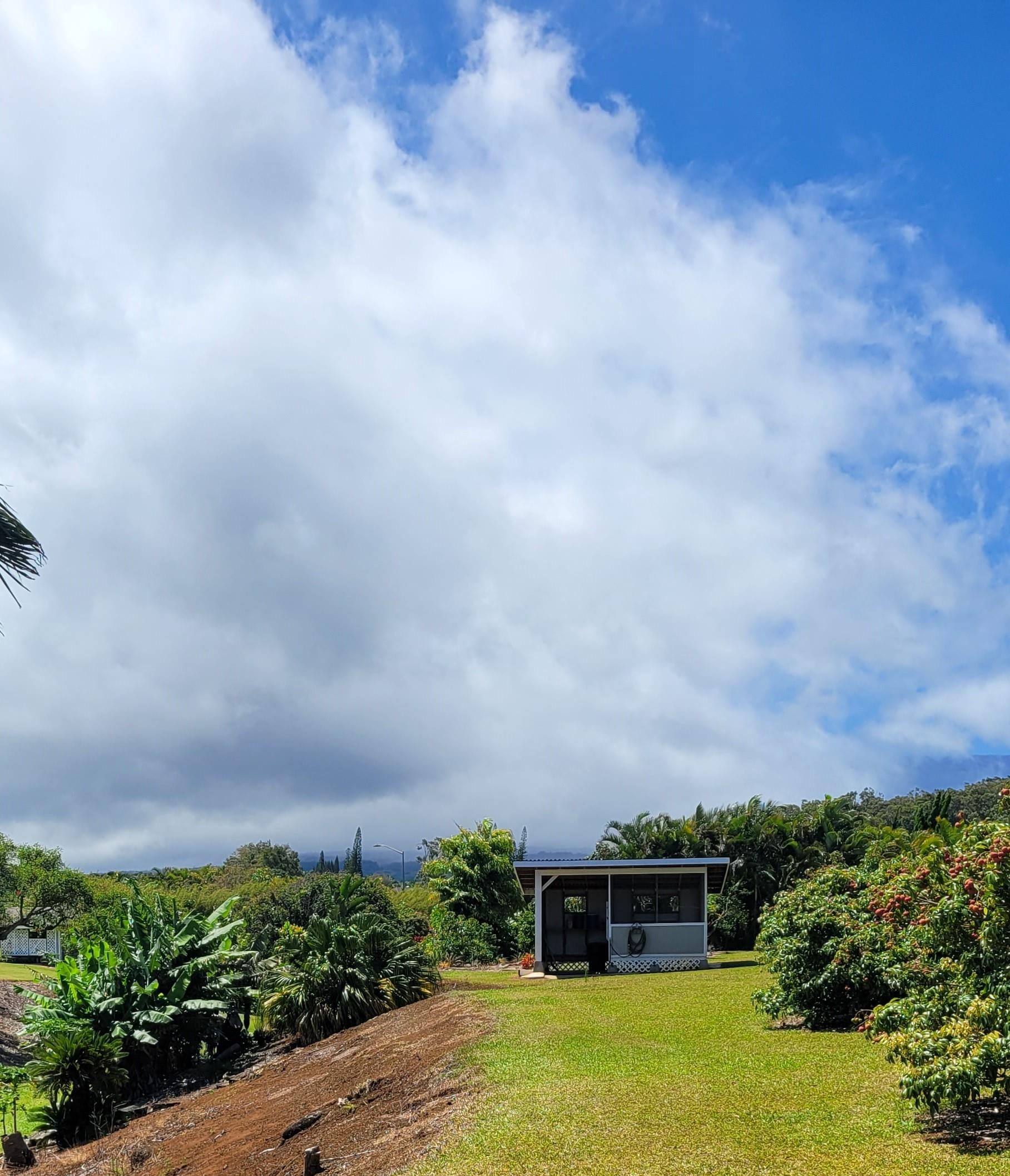 1480 Hog Back Road, Unit 1480 HOG BACK ROAD Haiku, HI 96708 - Photo 29 of 29 a picture of a city view