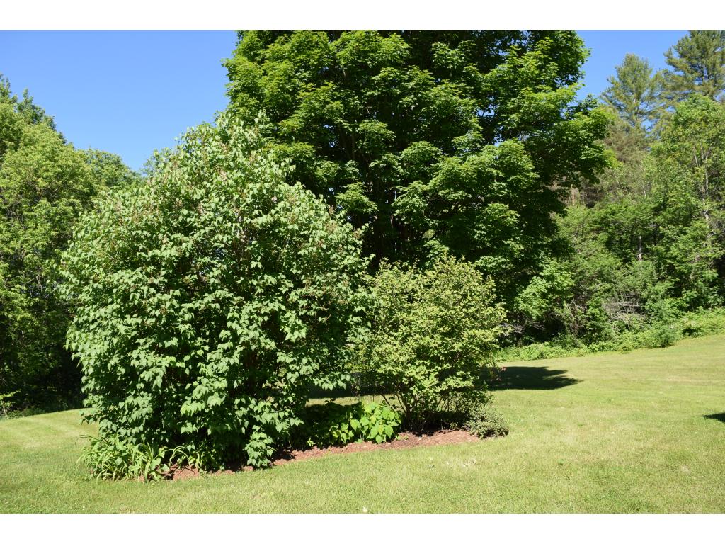 237 North Wolcott Road Wolcott, VT 05680 - Photo 10 of 14