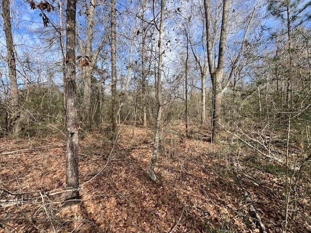 14-ac Potter Road Opp, AL 36467 - Photo 32 of 42 Gallery Image 32