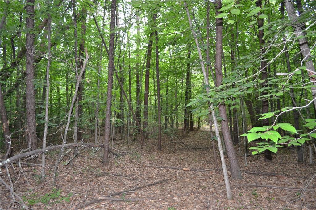 0 Aaron Lane Madison, NC 27025 - Photo 7 of 7