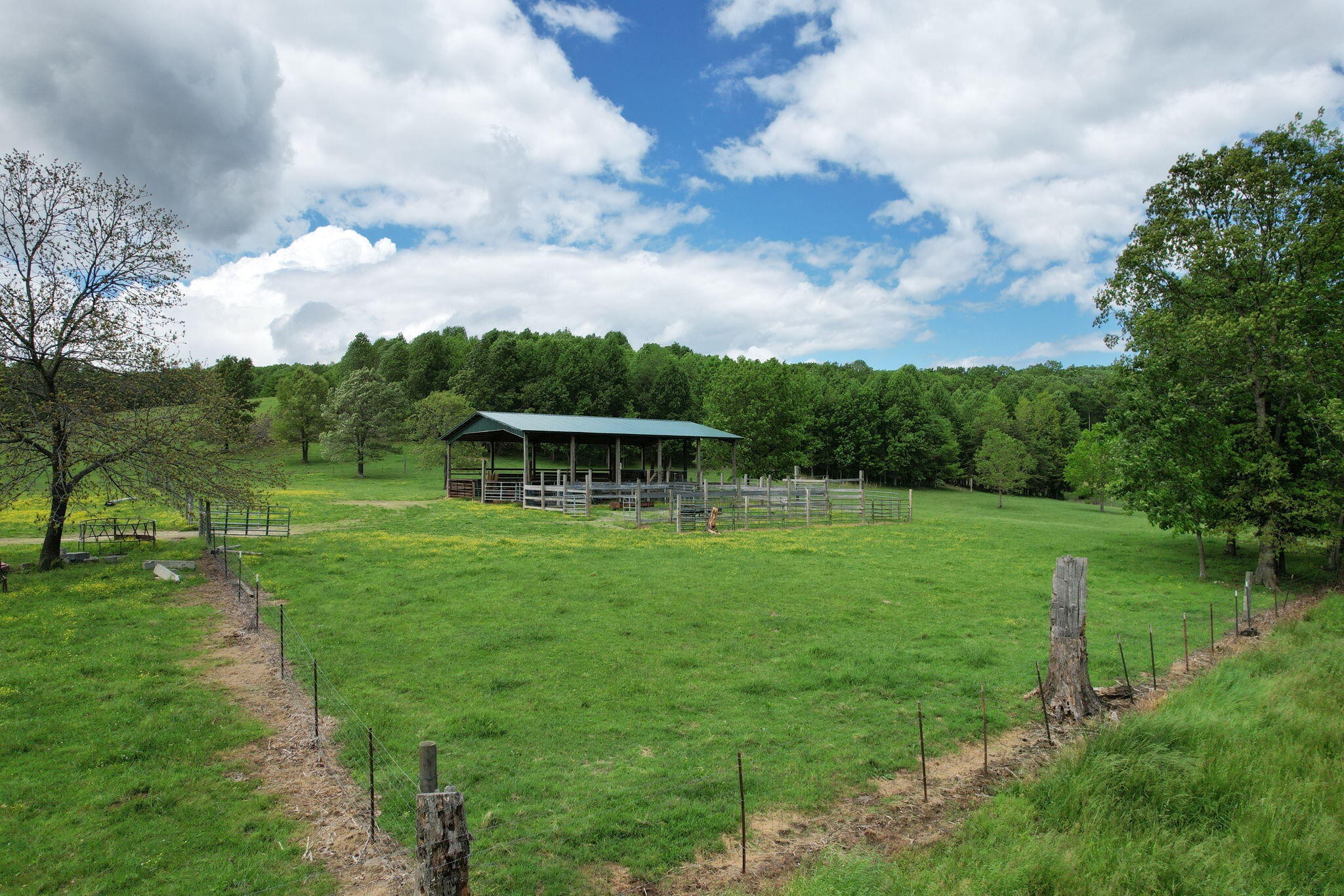 0 Summer City Firetower Road Pikeville, TN 37367 - Photo 8 of 16 Gallery Image 8