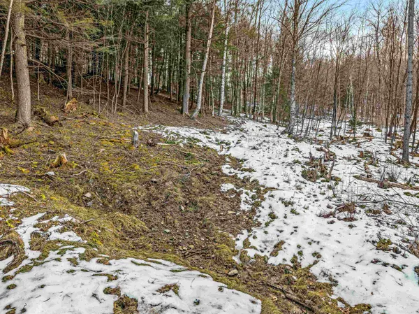 $98,000 | 4 B Craig Lane, Cambridge, VT 05444