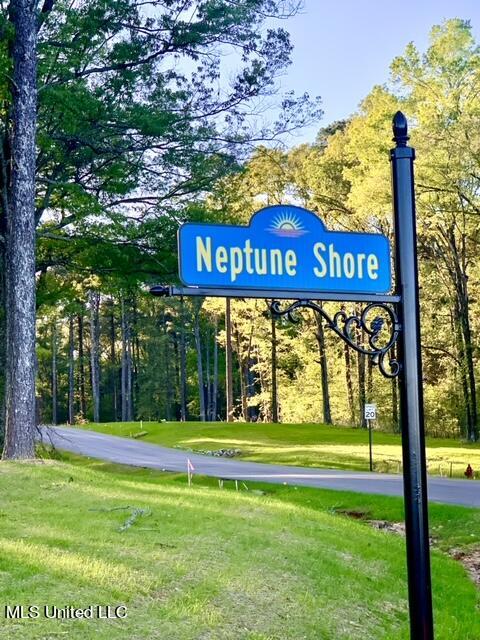 Lot 23 Neptune Shore Canton, MS 39046 - Photo 20 of 20 IMG_4238