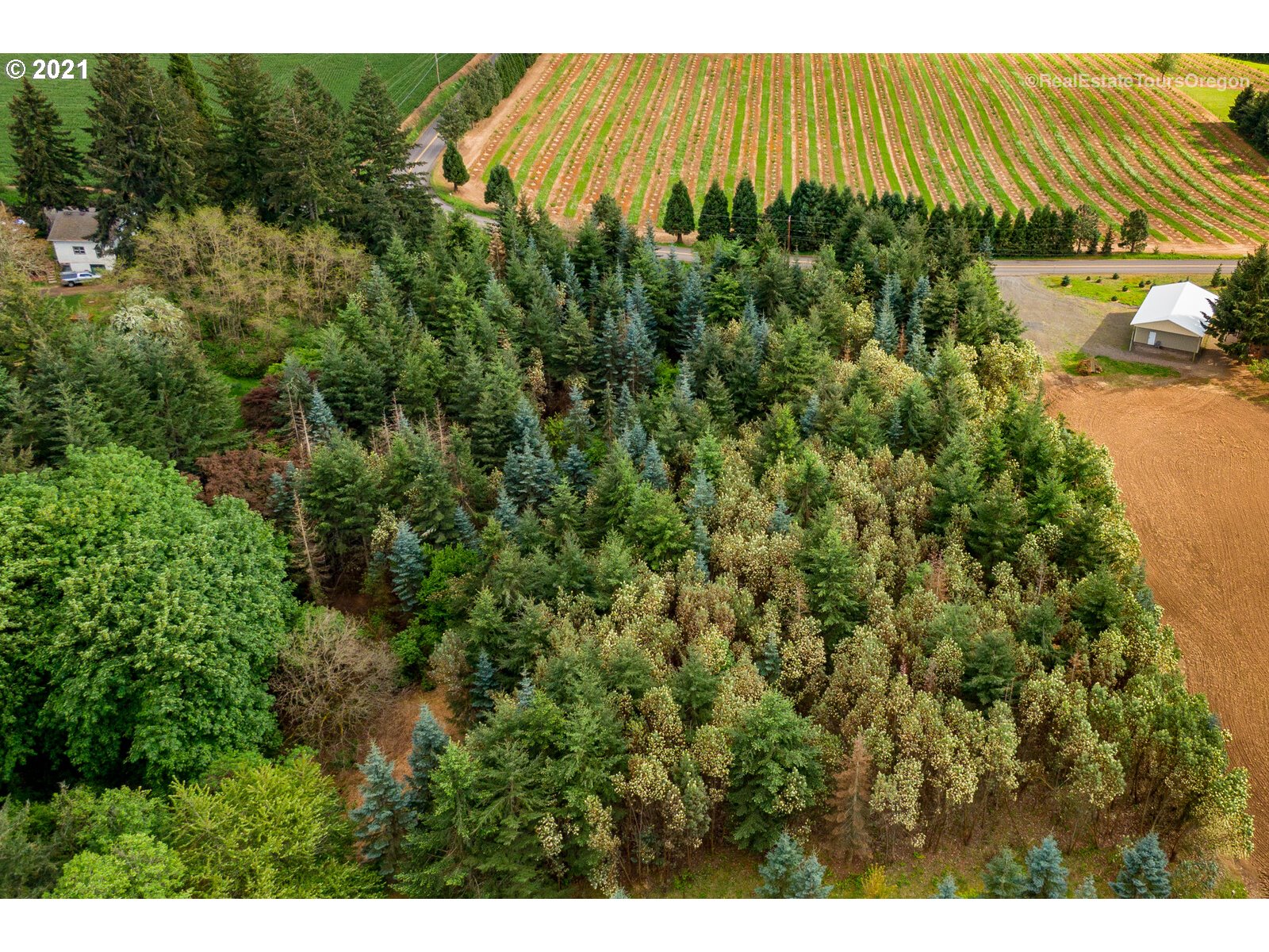 0 Southwest Wunderli Canyon Road Sherwood, OR 97140 - Photo 8 of 10 Gallery Image 8